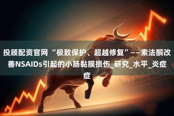 投顧配資官網(wǎng) “極致保護、超越修復”——索法酮改善NSAIDs引起的小腸黏膜損傷_研究_水平_炎癥