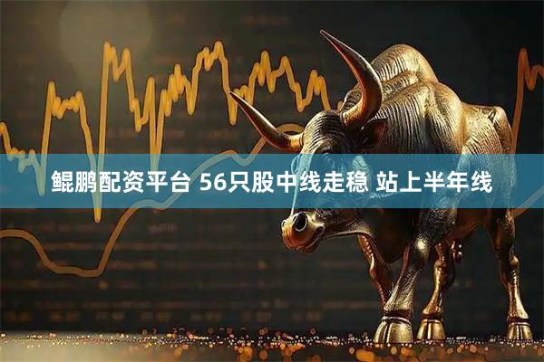 鯤鵬配資平臺 56只股中線走穩(wěn) 站上半年線