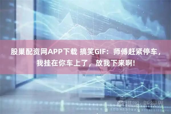 股巢配資網(wǎng)APP下載 搞笑GIF：師傅趕緊停車，我掛在你車上了，放我下來啊!