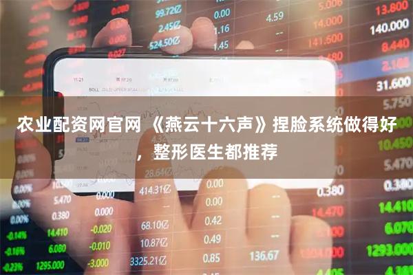 農(nóng)業(yè)配資網(wǎng)官網(wǎng) 《燕云十六聲》捏臉系統(tǒng)做得好，整形醫(yī)生都推薦