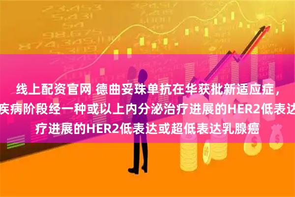 線上配資官網(wǎng) 德曲妥珠單抗在華獲批新適應(yīng)癥，用于既往在轉(zhuǎn)移性疾病階段經(jīng)一種或以上內(nèi)分泌治療進(jìn)展的HER2低表達(dá)或超低表達(dá)乳腺癌