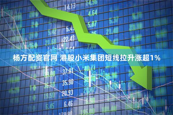 楊方配資官網 港股小米集團短線拉升漲超1%